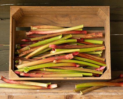 Rhubarb