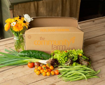 Salad Box