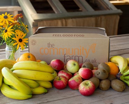 Family Fruit Box 