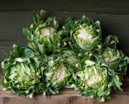 Cauliflower