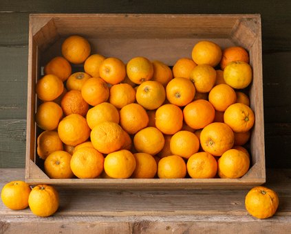 Oranges - Seville