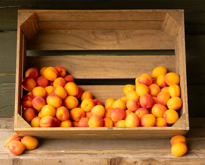 Apricots