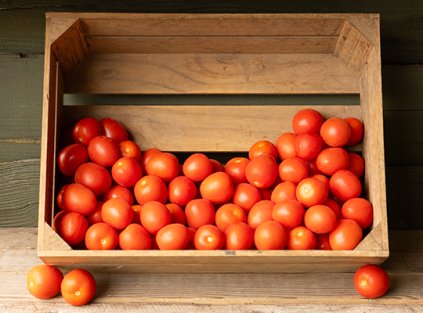 Tomatoes - Plum