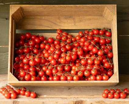 Tomato - Cherry Vine