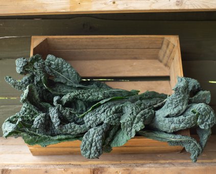 Kale - Cavolo Nero