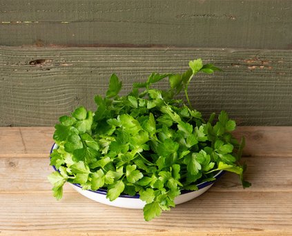 Herbs - Parsley