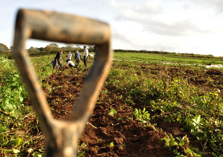 On National Poetry Day...a poem about something that eats the heart...out of our lettuces!