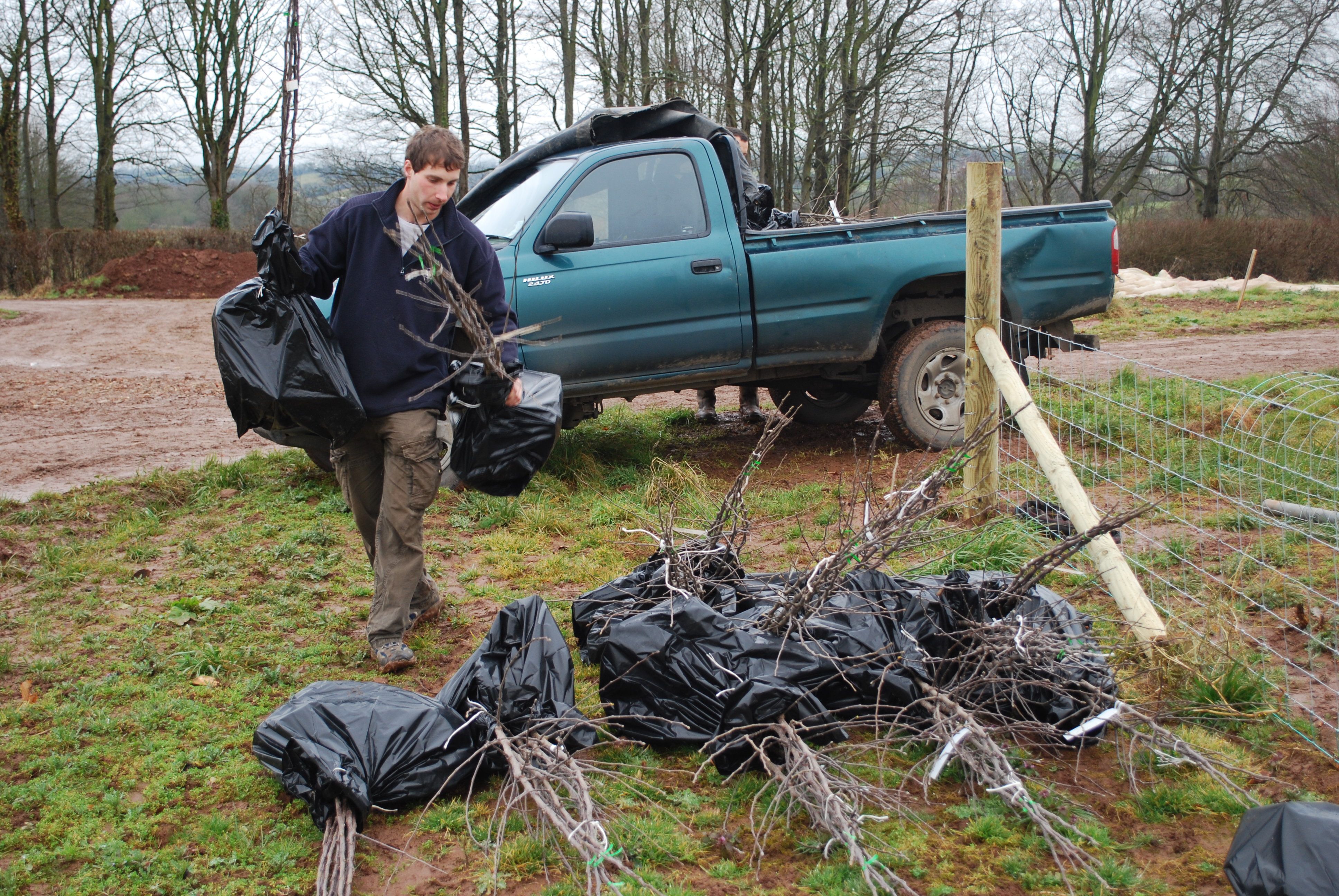 Over 100 fruit trees delivered today!