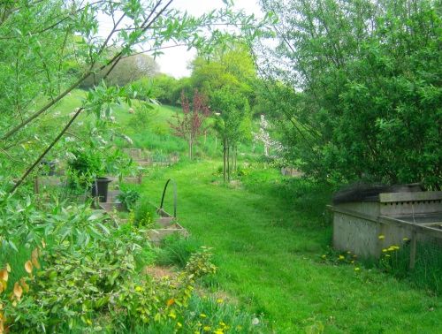 Forest Gardening - Growing food by mimicking nature