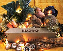 Organic food for your Christmas meals