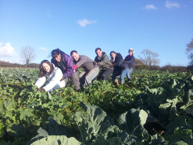 A big thank you to our volunteers