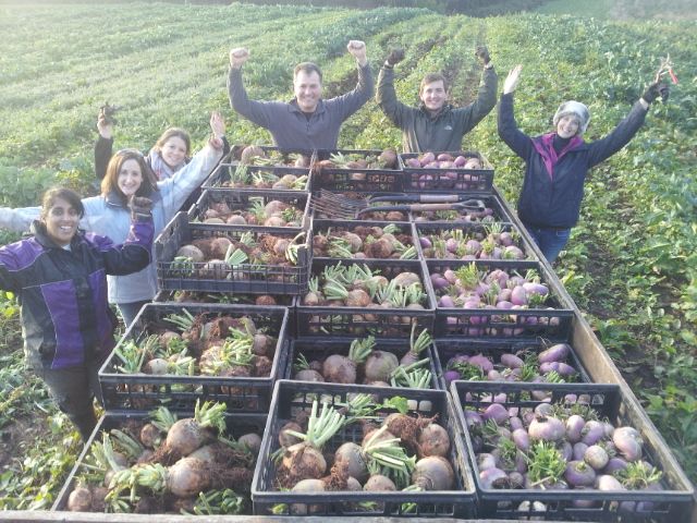 News from the field - December 2014