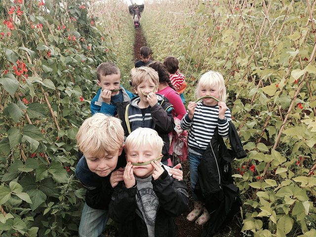 Fun and good learning