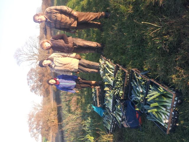 Field to plate: January