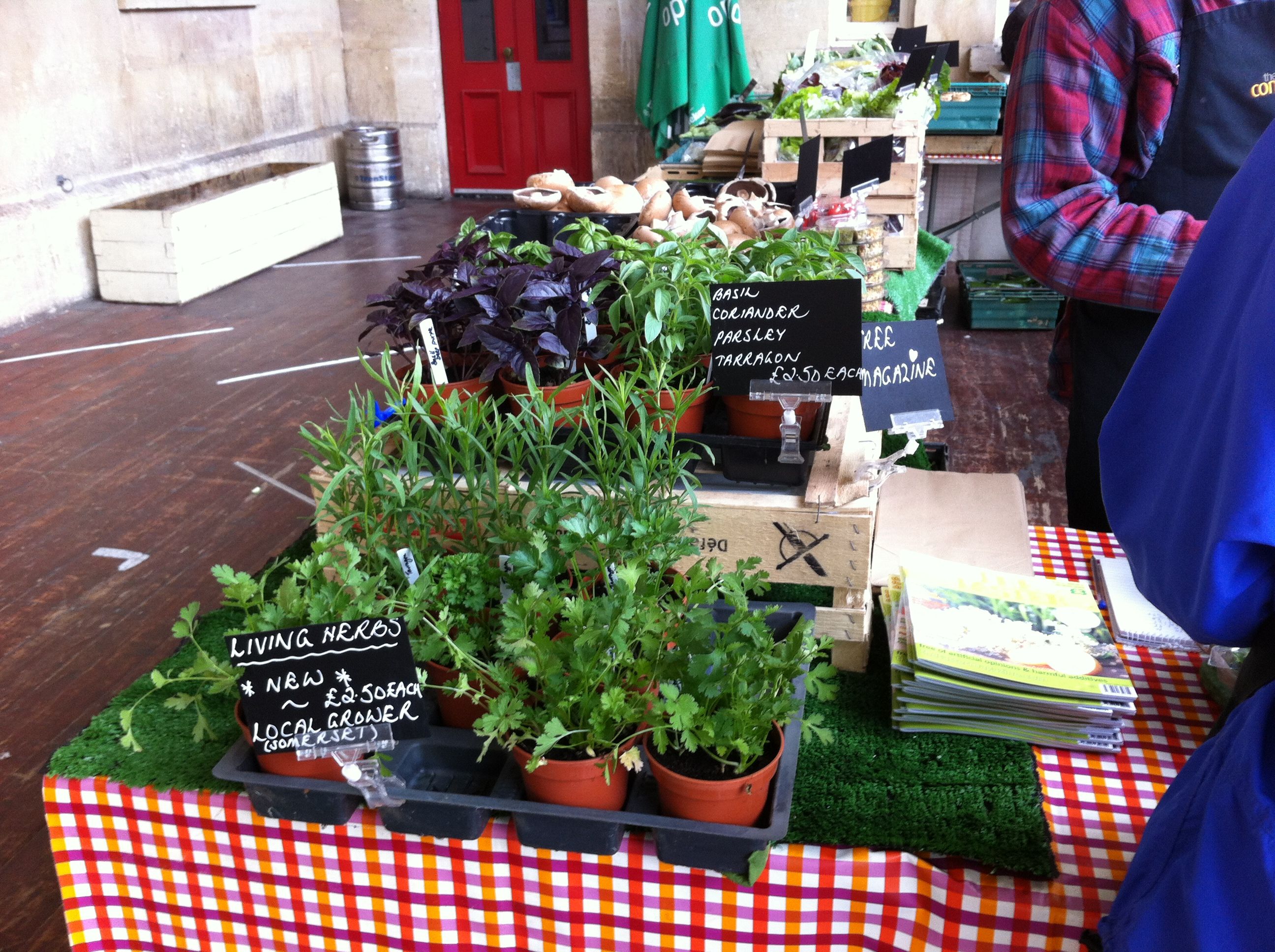 A morning at Bath Farmers' Market