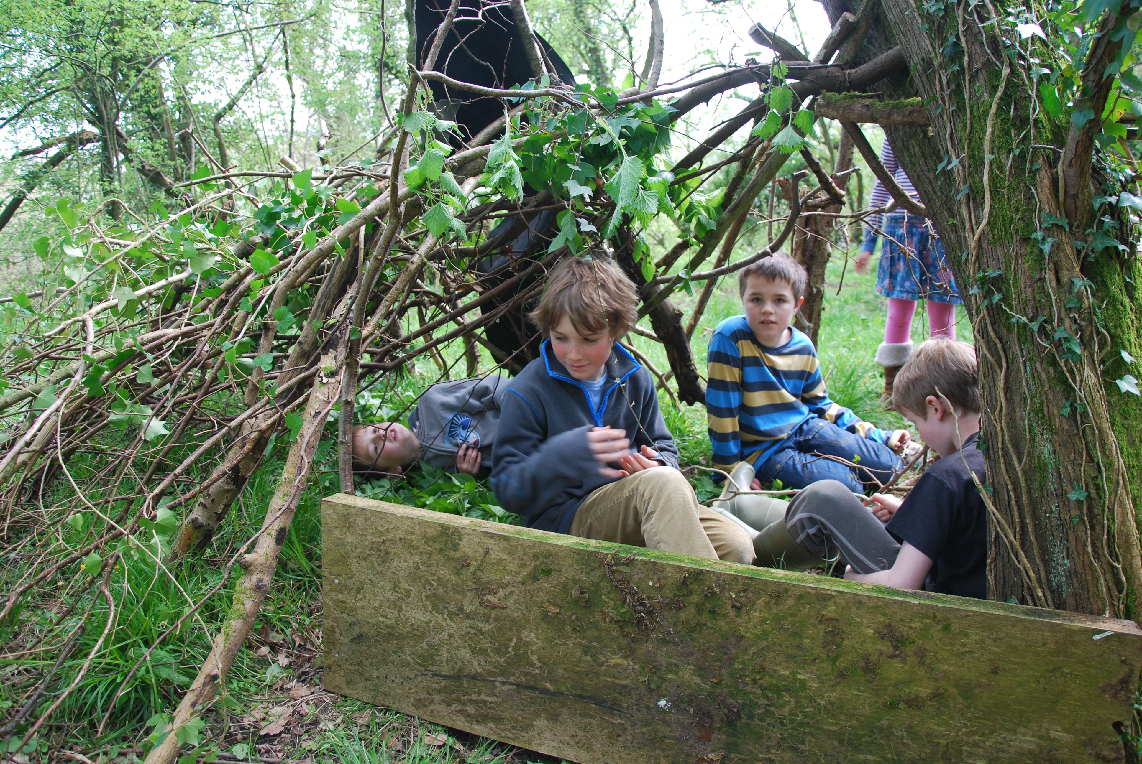 Summer Forest School