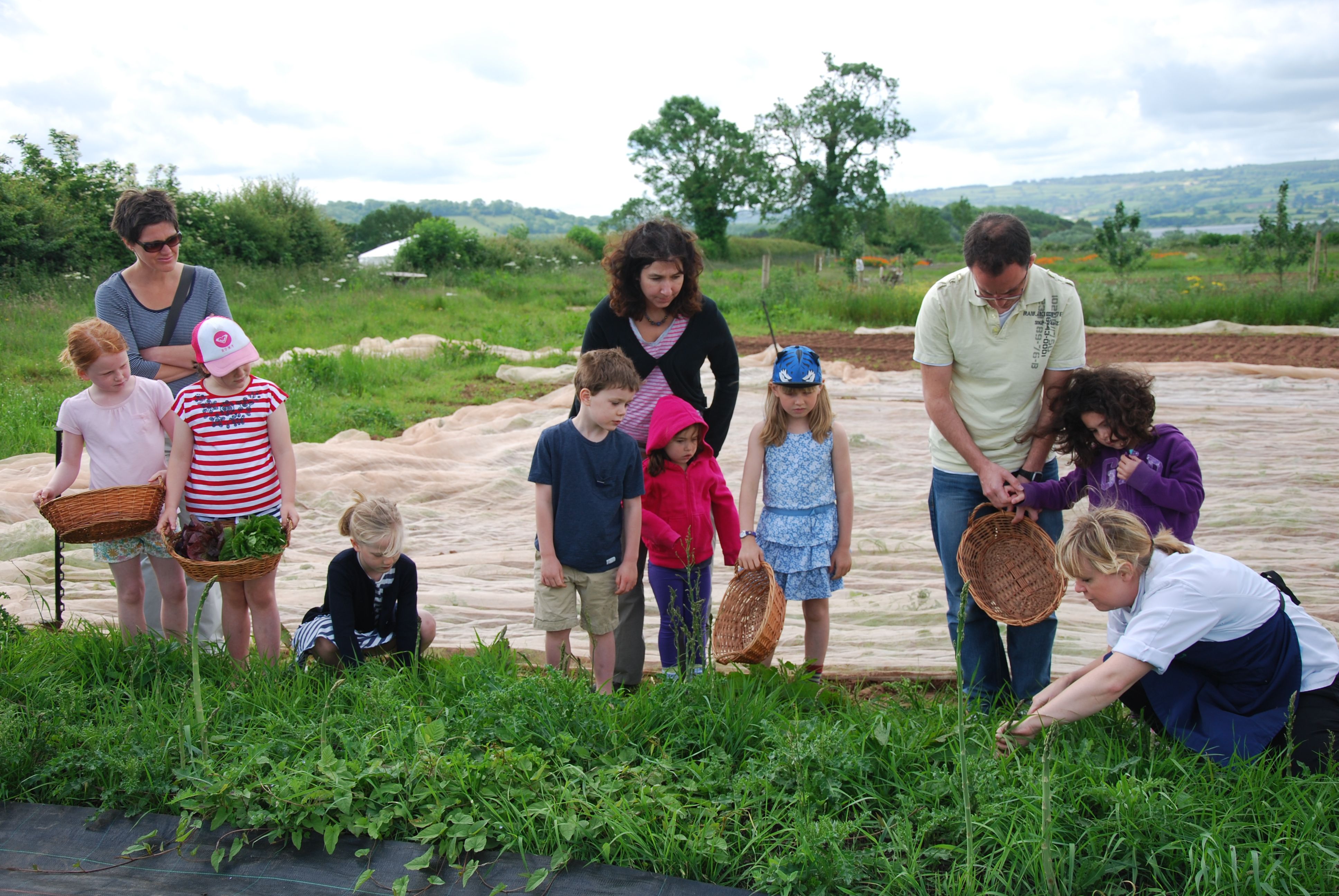 Outdoor activities and cookery 