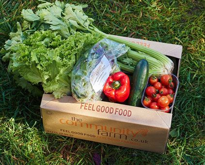 Salad Box hibernating for the winter