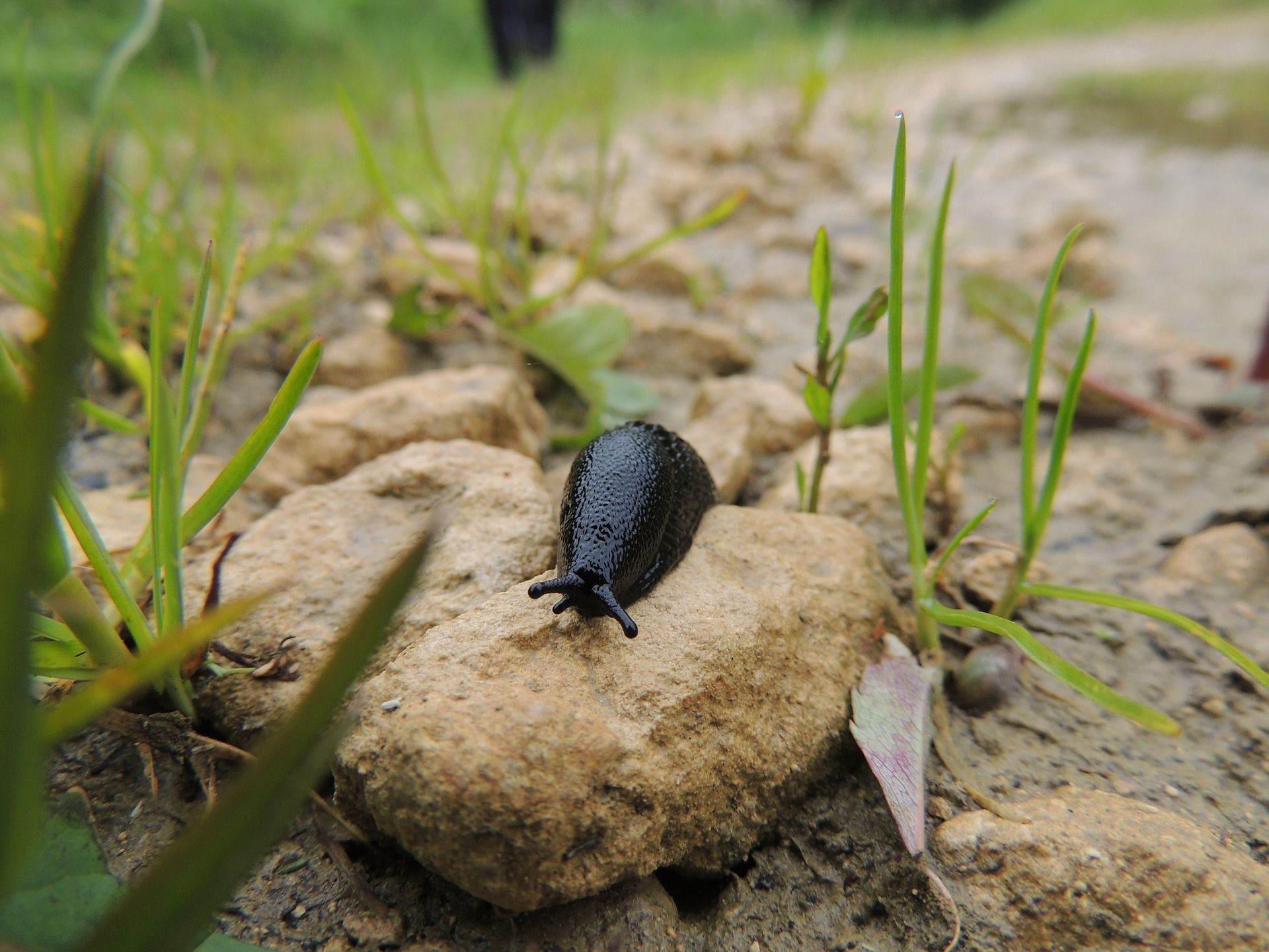 A sluggish January