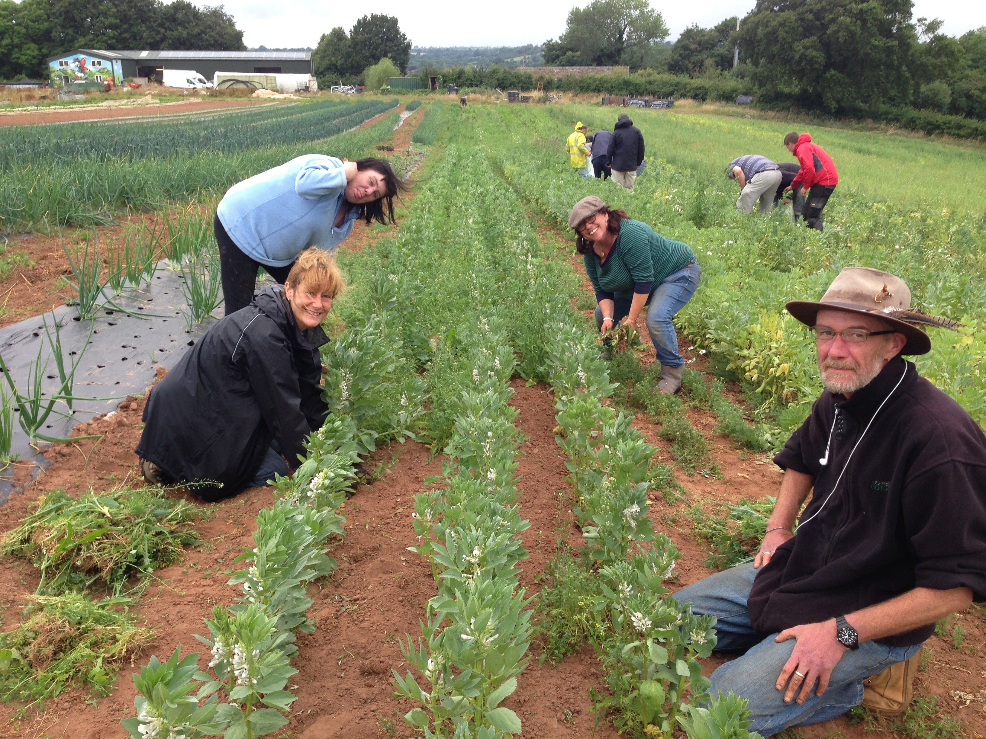 Gardening group enjoy a day on the farm