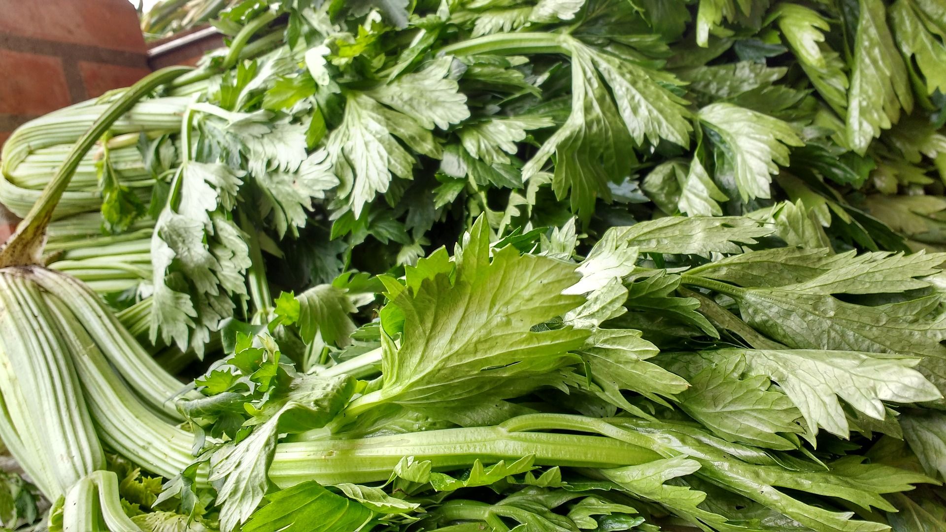 Vegetable of the month: celery