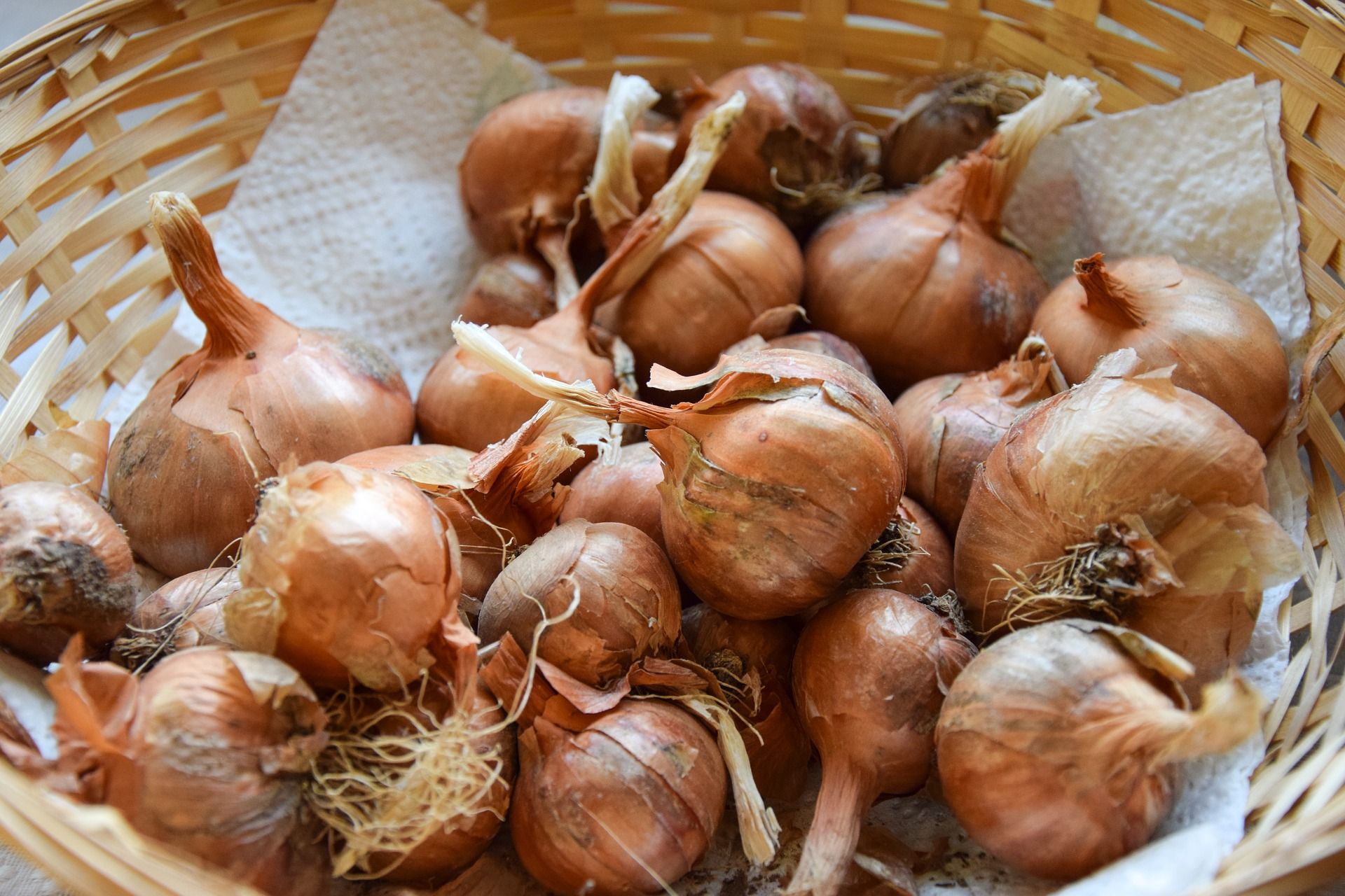 Vegetable of the month: Shallots