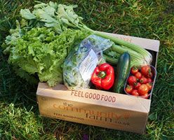 Salad boxes are back!