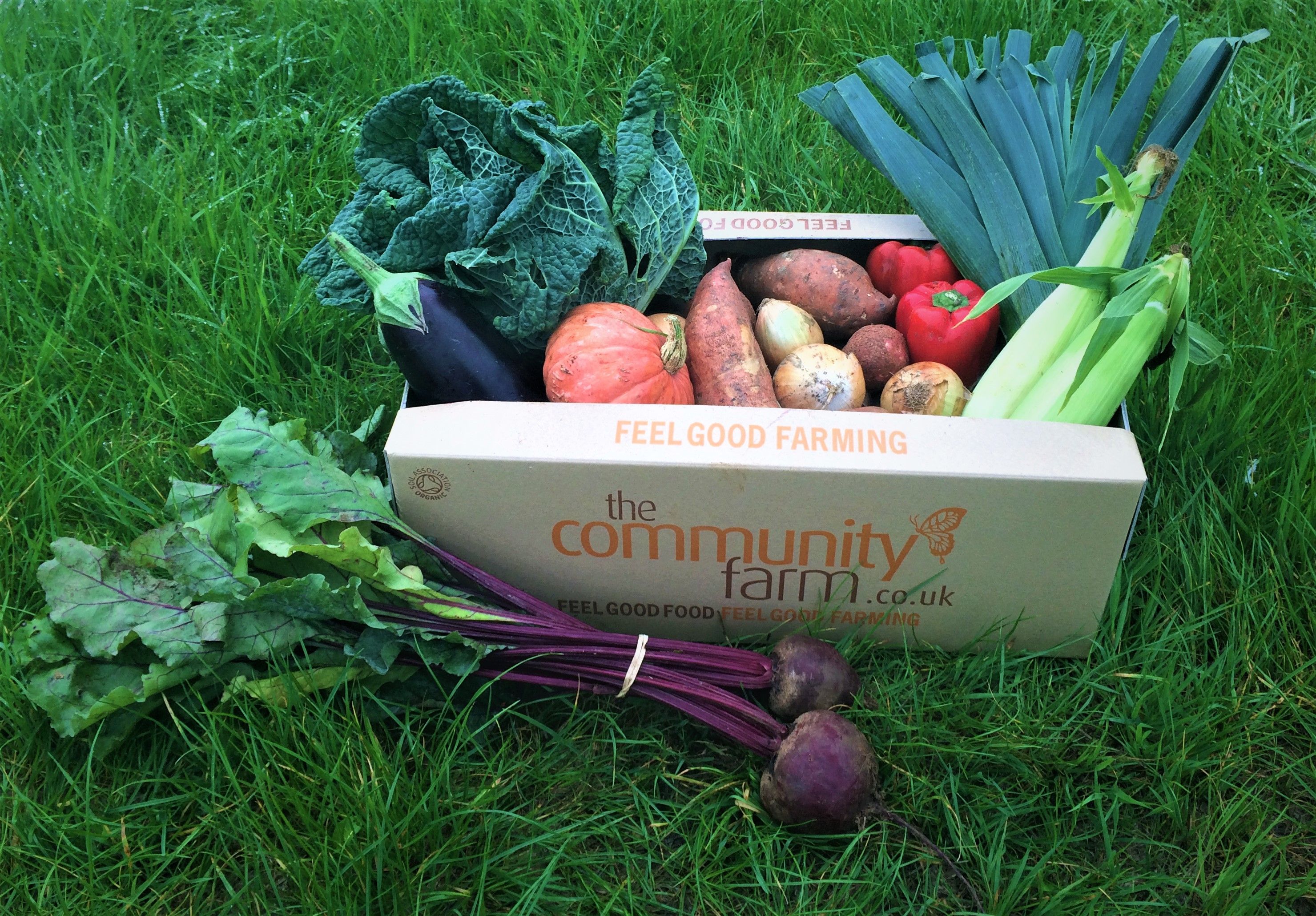 The Community Farm helps customers cut plastic waste