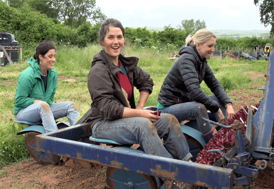 Press release: The Community Farm launches £20k fundraiser