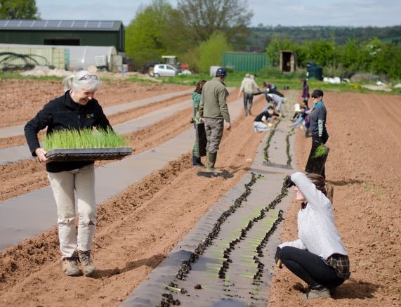 Press Release: The Feel Good Garden needs your vote!