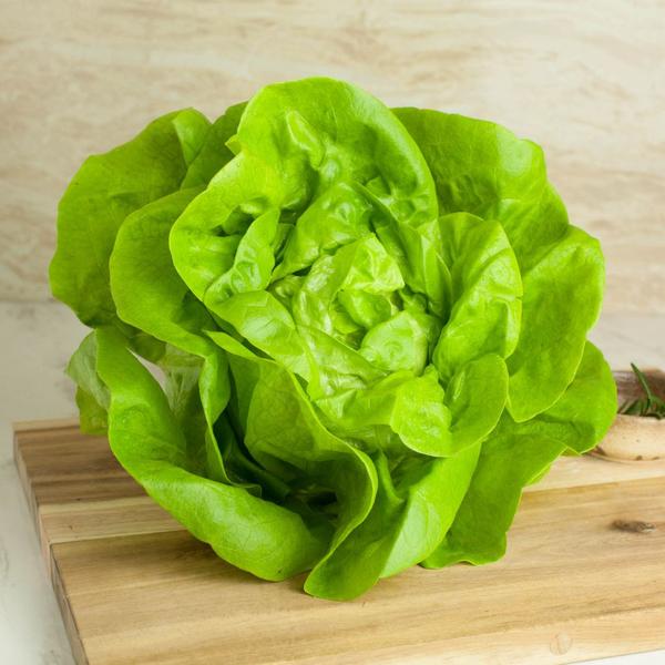 Veg of the month: Lettuce