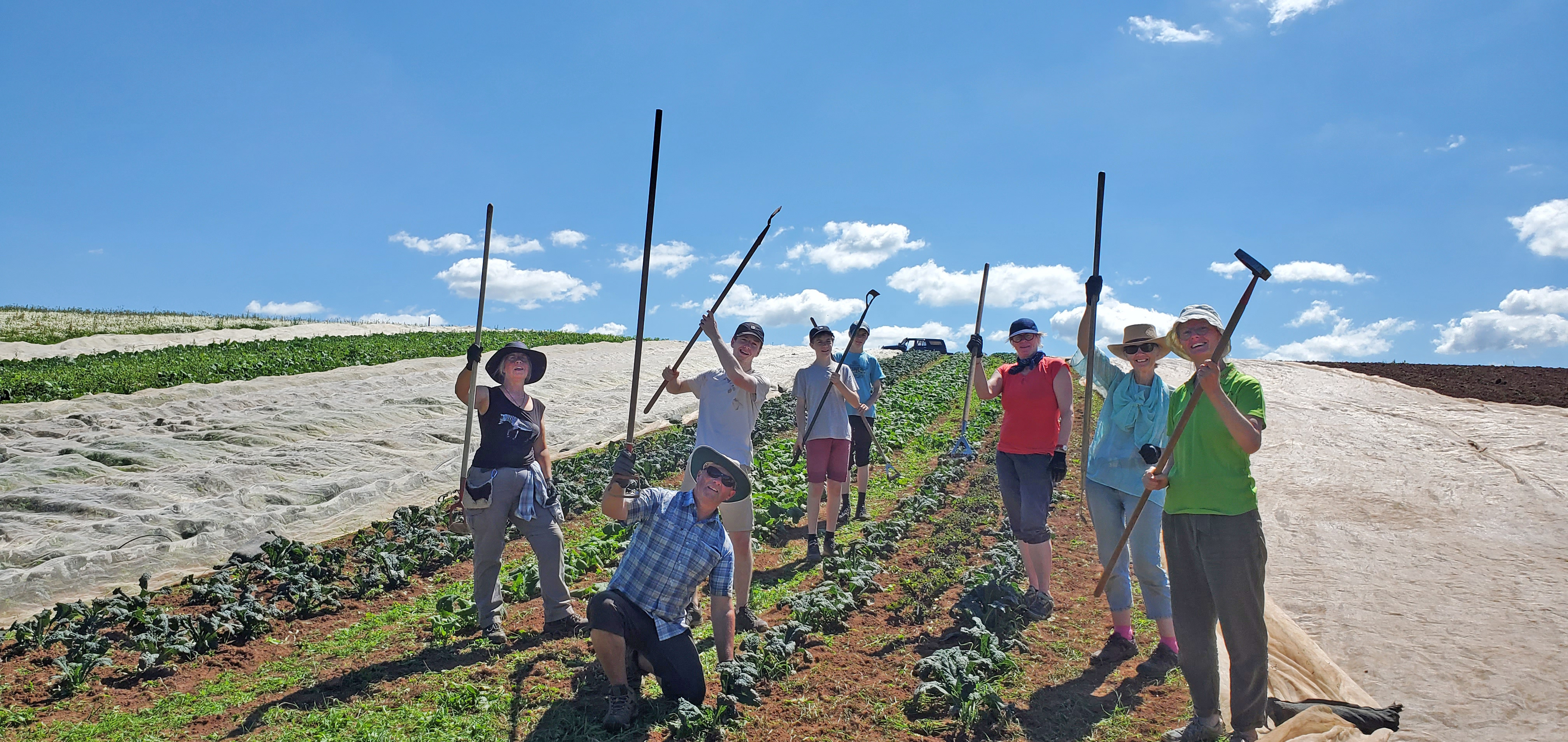 Community Farmer Day - Squash sowing and courgette planting