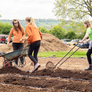 Burgess Salmon - prepping the beds. May 2025
