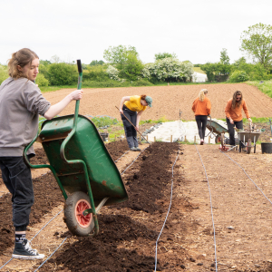 Burgess Salmon - prepping the beds. May 2025