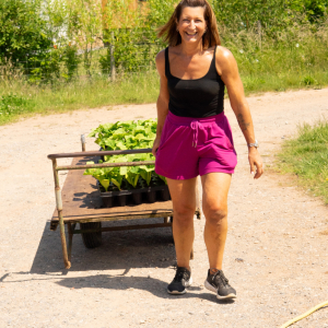 Diligenta - planting the squash. July 2025